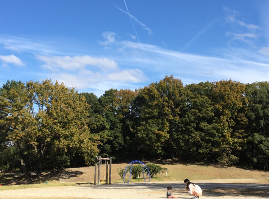 森と親子と飛行機雲　in 森林公園