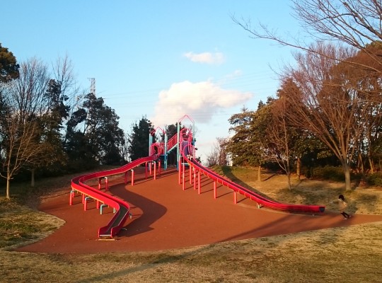 中川区と港区の境界が戸田川緑地の中に!!