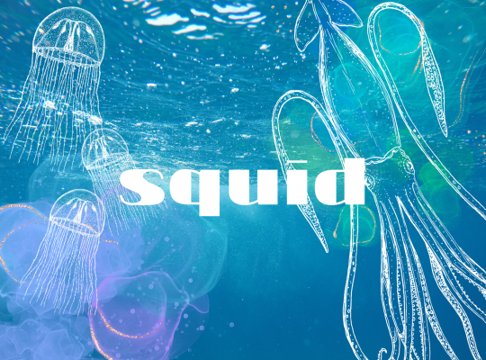 初のイカ釣りデビュー!!