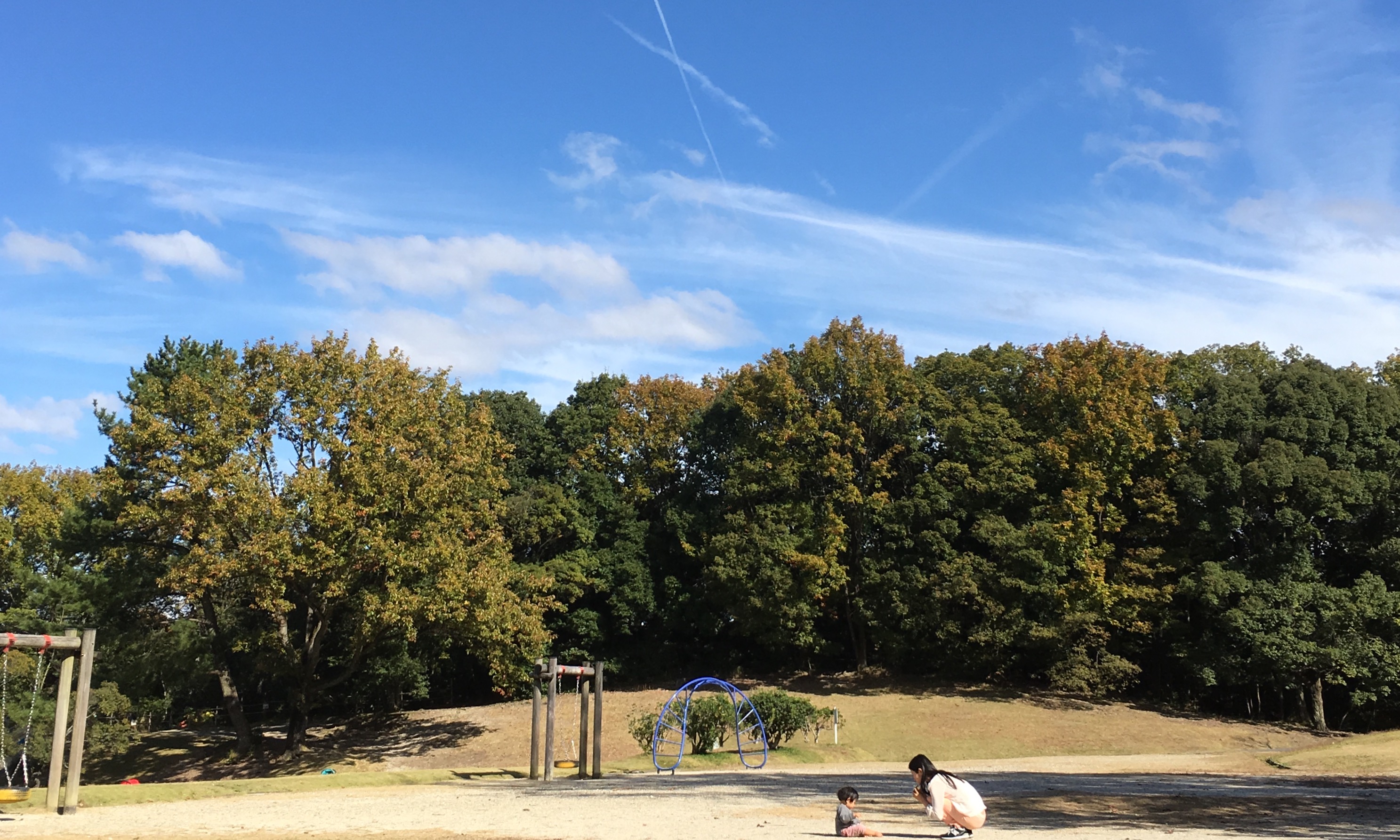 森と親子と飛行機雲　in 森林公園
