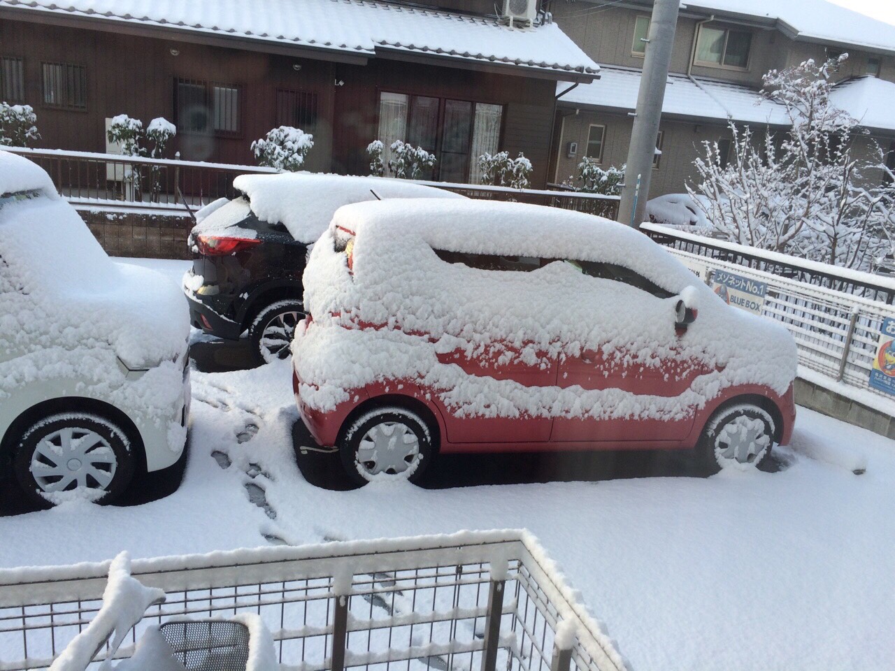今年初雪