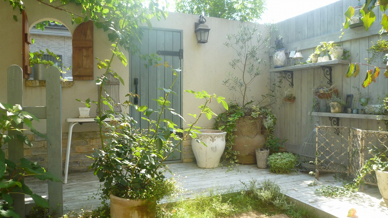 Fun In Garden
