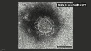 新型コロナウィルス感染予防による取り組み