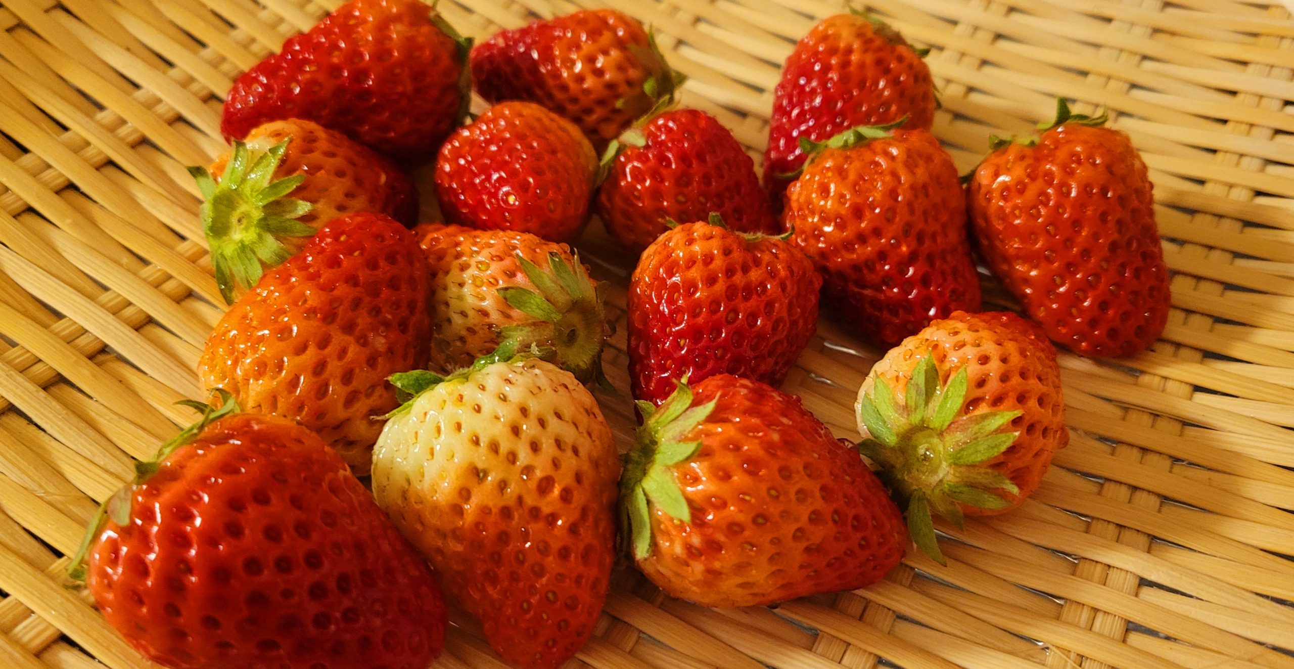 季節の手仕事~3月~