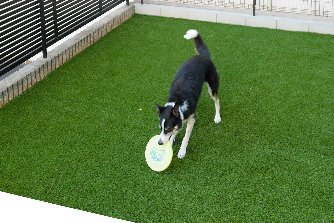 愛犬ものびのびと遊ぶことができる芝庭。&nbsp;