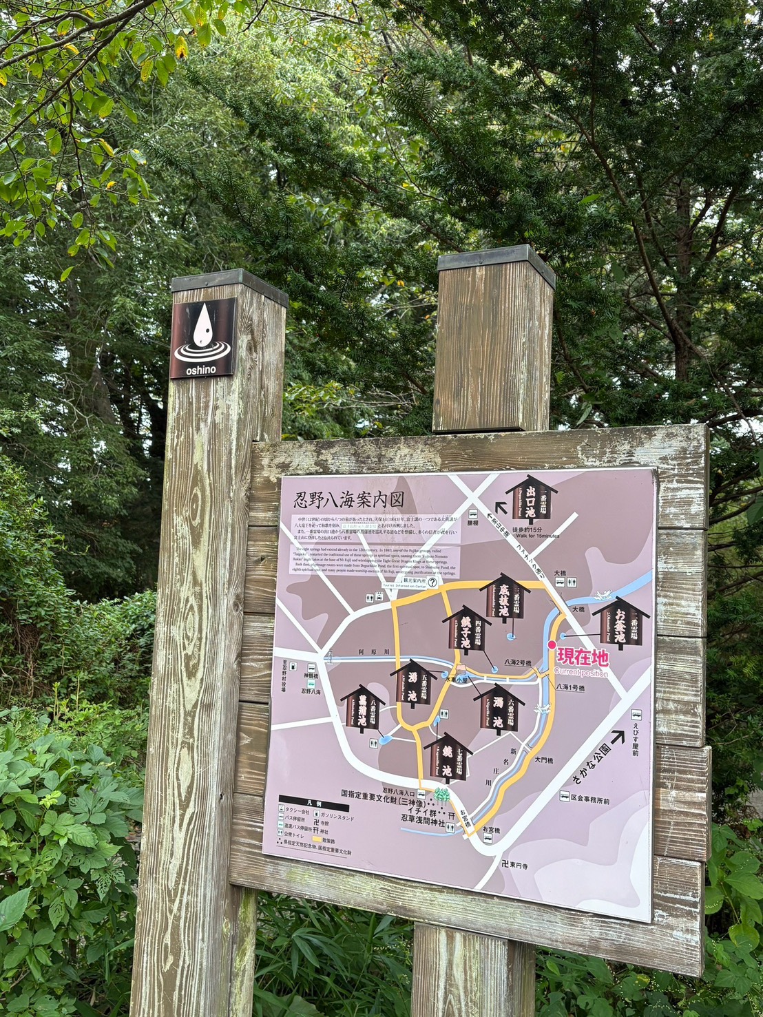 忍野八海に行ってきました！