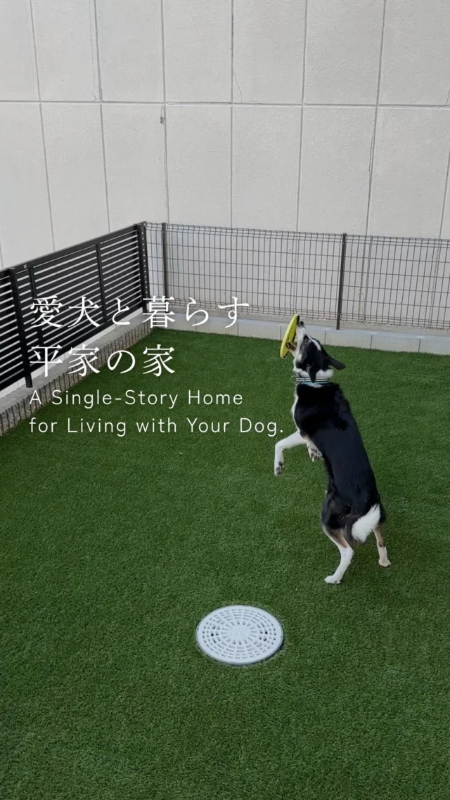 愛犬と暮らす平家の家

-———————————

つながりをデザインする
My two natures had memory in common.

KAZADESIGNは名古屋市を中心に、⼟地探しから設計・施工まで一貫して⼿がける住宅設計会社です。
“⾃分たちらしさ”と“デザイン性”を両立し、細部まで美意識の行き届いた空間を形にします。

-—————

📍名古屋市を中心に、愛知県内で対応中
📩 モデルハウス見学・施工事例はプロフィールのリンクから

株式会社三晃不動産　KAZA DESIGN
🏢名古屋市中川区戸田五丁目133番地
📞052-301-5252

#KAZADESIGN #カザデザイン #デザイン住宅 #ルームツアー #roomtour